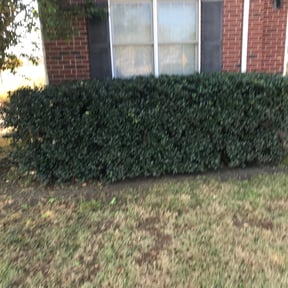 Bush Trimming by J&S Landscaping reviewed on August 16, 2025