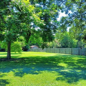 landscaping by High Maintanence Lawn Care reviewed on August 17, 2025