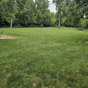 landscaping services by Pena lawn service reviewed on August 19, 2025