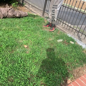 Bush Trimming by Expanding Horizons Property Management LLC reviewed on August 19, 2025