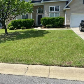 grass cutting by Charleston Green Team LLC. reviewed on August 19, 2025