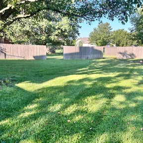 yard work by GET Tax Service reviewed on August 21, 2025