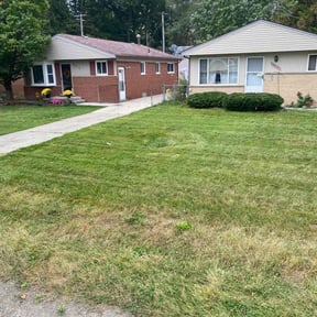 Bush Trimming by Valrico lawn care reviewed on August 21, 2025