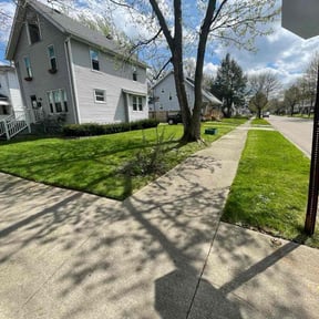 yard care by Anointed Services reviewed on August 15, 2025