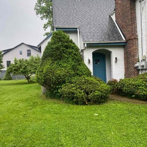 Bush Trimming by Fairwood Landscape reviewed on August 18, 2025