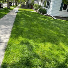 yard care by Chicago Lawn Care & Snow Removal reviewed on August 21, 2025