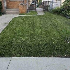 lawn care services by Lawncare Recovery and landscape LLC reviewed on September 8, 2023