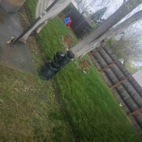 lawn care by Afloridable services LLC reviewed on January 25, 2024