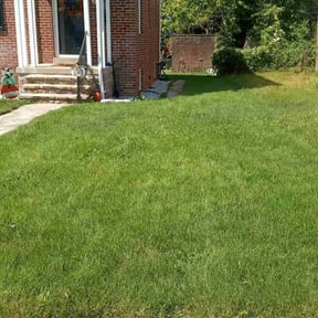 turf maintenance by Coral Leaf Landscaping reviewed on September 14, 2024
