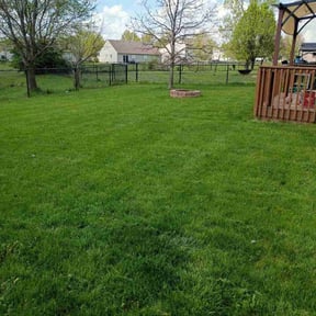 landscaping services by All the right cuts reviewed on August 17, 2025