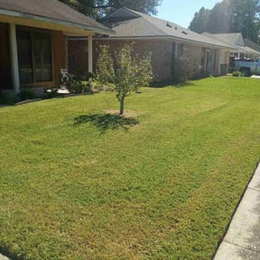 yard maintenance by Lonestar Landscaping group reviewed on August 21, 2025
