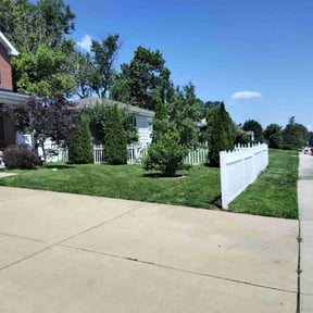 yard work by Green Earth Lawn and snow LLC reviewed on August 17, 2025