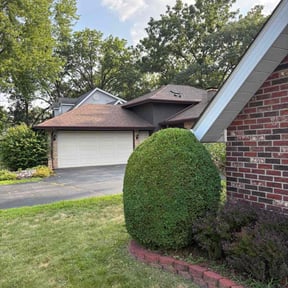 Bush Trimming by WesleyBrothers lawn care LLC reviewed on October 20, 2025