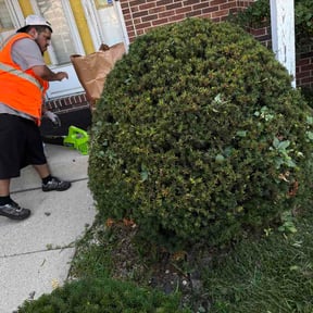 Bush Trimming by Marlon lawn service reviewed on July 24, 2026