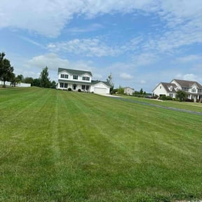 gardening service by John lawns LLC reviewed on November 24, 2025