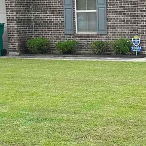 Bush Trimming by Lawnstars reviewed on November 23, 2025