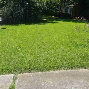 yard maintenance by Heavens Landscape and Design reviewed on August 20, 2025