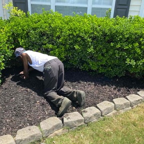 Mulching by Four Level LLC -678.688.LAWN reviewed on August 18, 2025