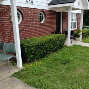 Bush Trimming by N&amp;C Lawn Service LLC. reviewed on November 10, 2025