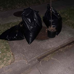 Leaf Removal by WINNERS CIRCLE LAWN CARE LLC. reviewed on September 30, 2025