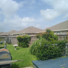 Bush Trimming by Elite Landscaping reviewed on August 21, 2025