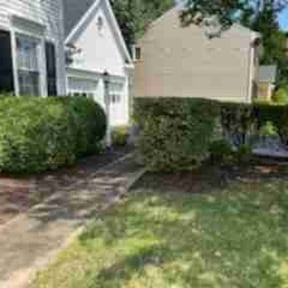 Bush Trimming by ZKZ Landscape &amp; Design reviewed on March 23, 2024