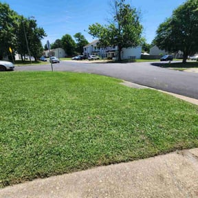 grass cutting by Mcclung Home Remodeling and Addition reviewed on May 6, 2024
