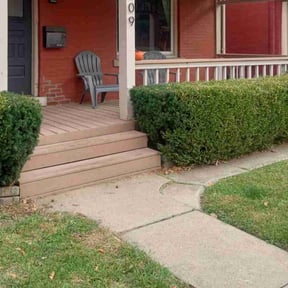 Leaf Removal by Steve's Lawn Care&More reviewed on August 20, 2025