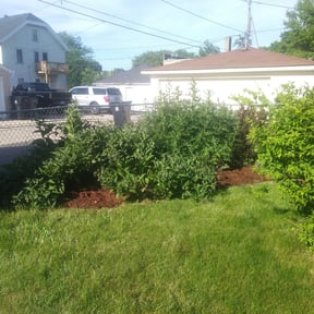 Flower Bed Weeding by Ortega lawn services LL reviewed on August 15, 2025