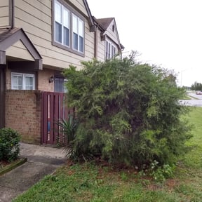 Bush Trimming by Spartan Landscaping reviewed on August 16, 2025