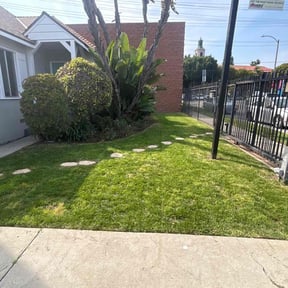 yard care by Dbs landscaping and lawn care reviewed on September 16, 2021