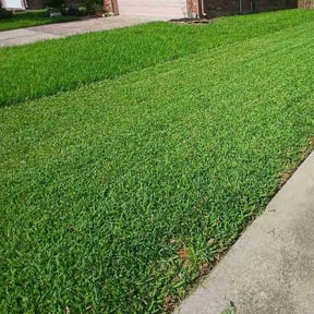 grass cutting by Wgm landscaping reviewed on August 21, 2025