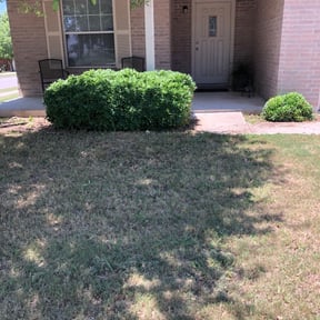 Bush Trimming by All Pro Lawn Services LLC reviewed on September 25, 2023