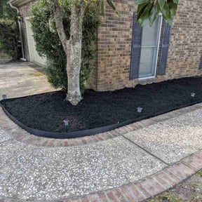 Outdoor Light Installation by  reviewed on December 16, 2025