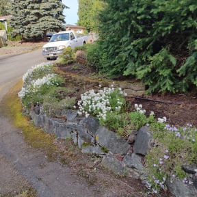 Flower Bed Weeding by T&T Service's reviewed on August 15, 2025