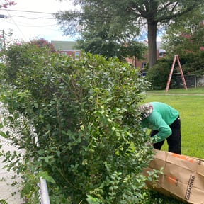 Bush Trimming by Ascension Care, LLC. reviewed on August 15, 2025