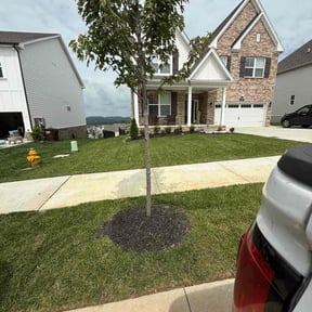 lawn service by Clover construction LLC reviewed on August 17, 2025