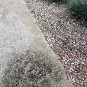Flower Bed Weeding by JNGLandscaping LLC reviewed on November 18, 2025