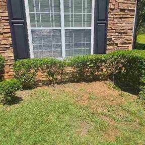 Bush Trimming by Chapman mowing reviewed on August 20, 2026
