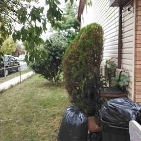 Bush Trimming by Dutka Landscaping LLC reviewed on October 20, 2025