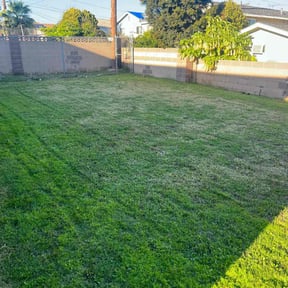 turf care by Perfectionist Landscape reviewed on April 18, 2024