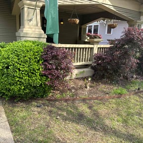 Bush Trimming by Transit LLC reviewed on August 17, 2025