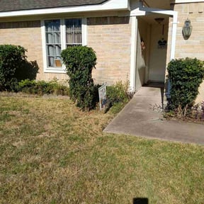 Bush Trimming by Landscape Management reviewed on October 19, 2025