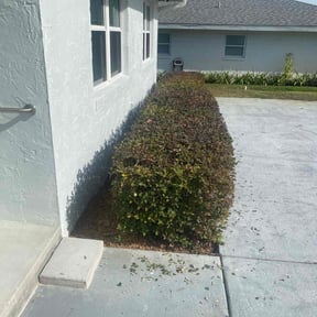 Bush Trimming by Lillard's Lawn care reviewed on June 10, 2026