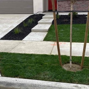 grass cutting by T & S Lawn Care Services reviewed on August 21, 2025