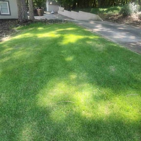 yard care by Georgia Lawns Inc reviewed on August 20, 2025