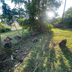 Bush Trimming by Great Idea Home Service reviewed on November 23, 2025