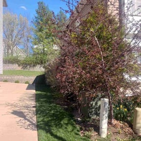 Bush Trimming by P.R.T. Landscaping reviewed on November 9, 2017