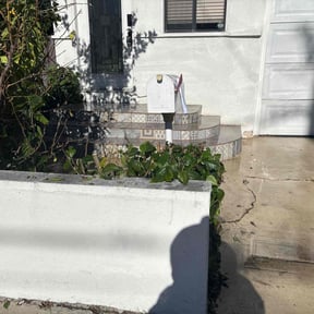 Bush Trimming by Stars &amp; Stripes Lawn Care reviewed on December 9, 2025