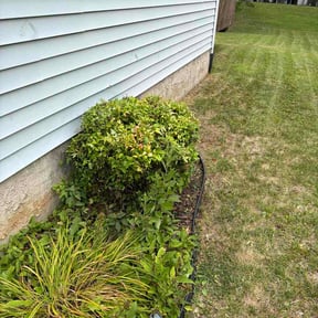 Bush Trimming by C &amp; J Mowing reviewed on July 8, 2026